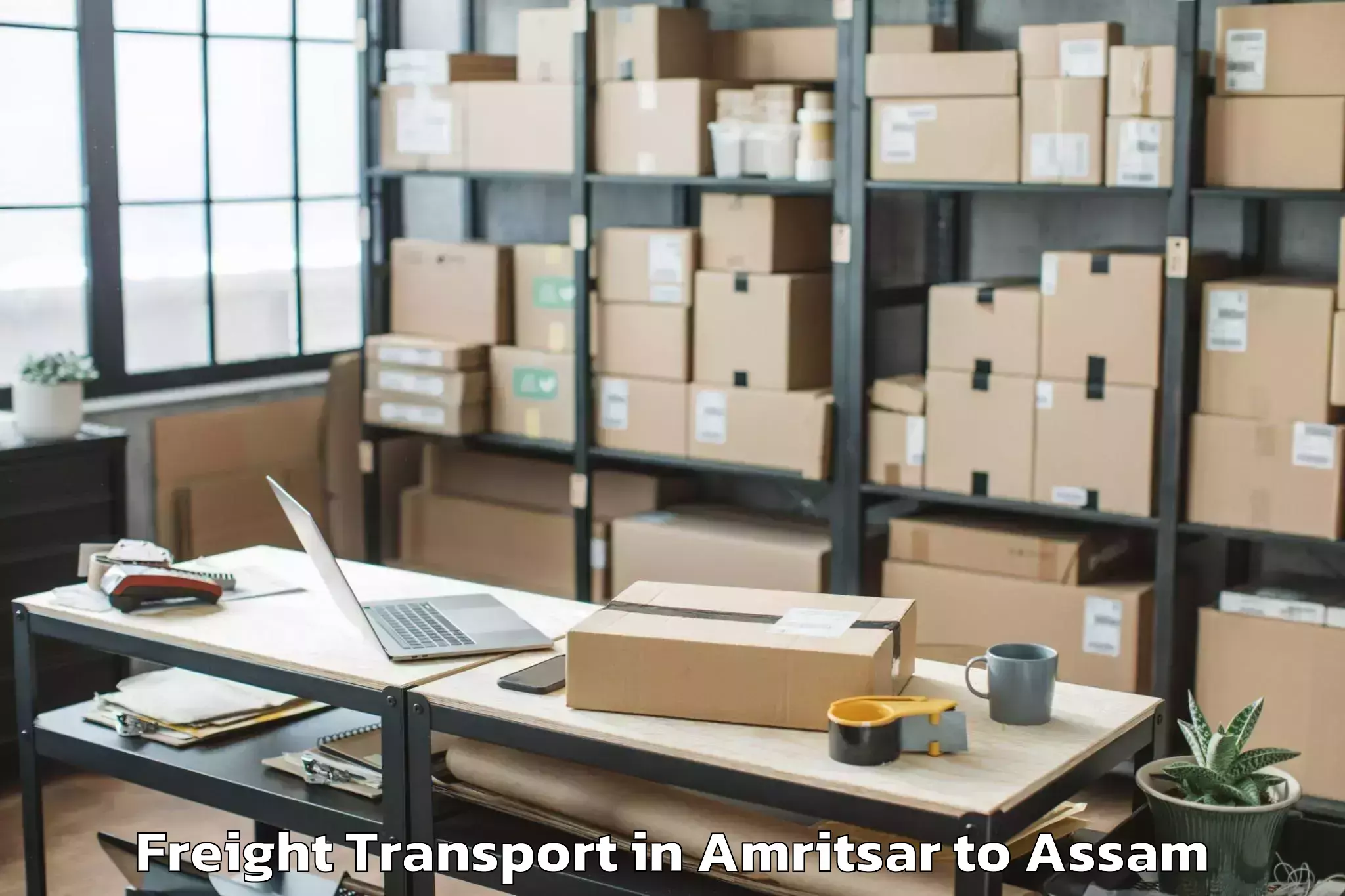 Affordable Amritsar to Borjhar Airport Gau Freight Transport